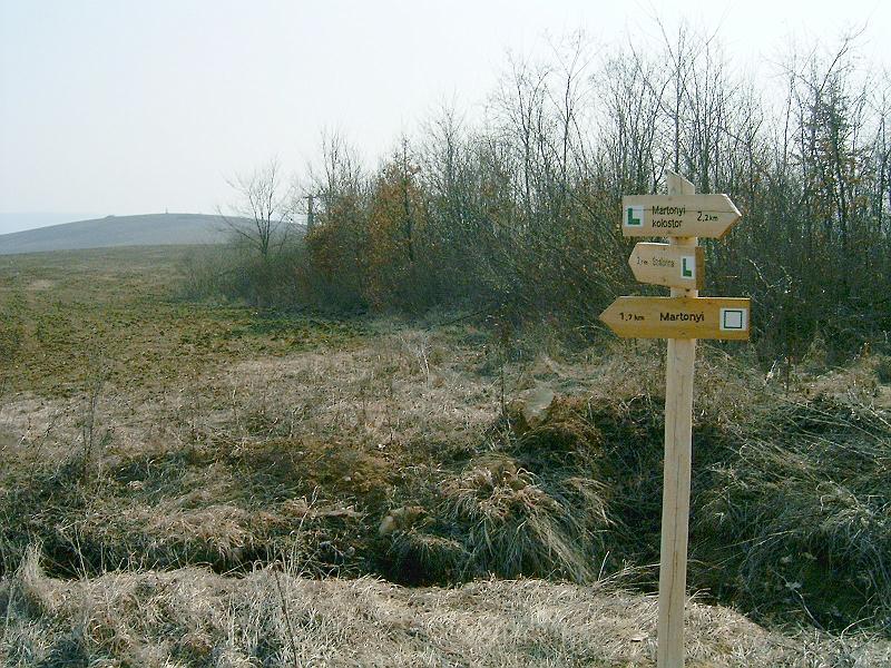 20110312 057.jpg